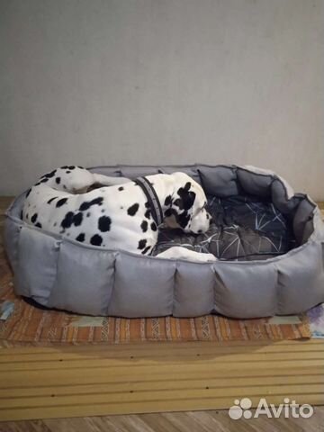 Лежанка для большой собаки