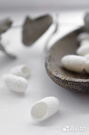 Коконы шелкопряда