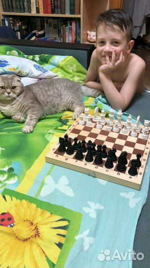 Обучение шахматам