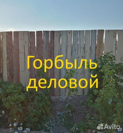 Горбыль деловой