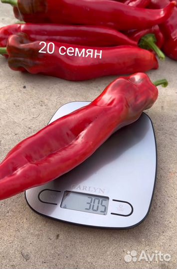 Семена болгарского перца