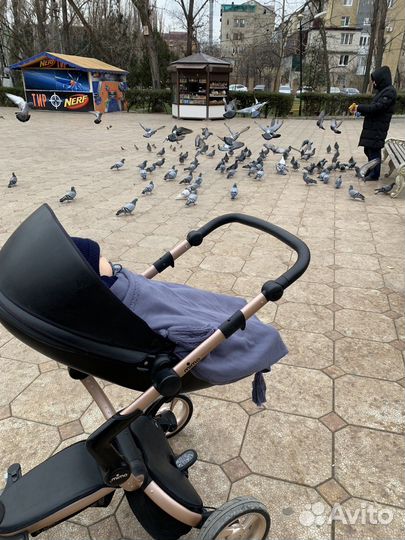Коляска 2 в 1 mima xari