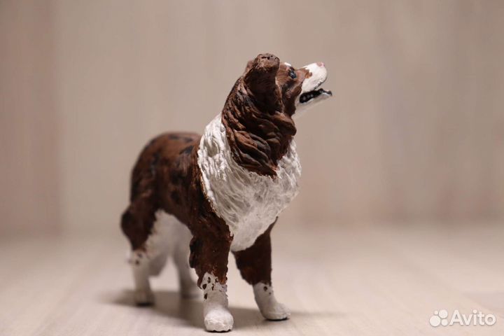 Бордер колли papo