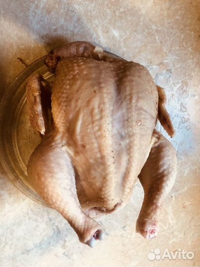 Куры бройлеры