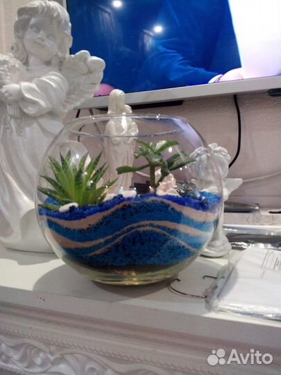 Флорариум из суккулентов