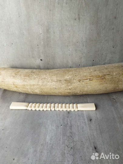 Четки перекидные из бивня мамонта