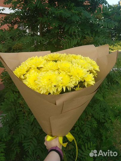 Букет из кустовой хризантемы