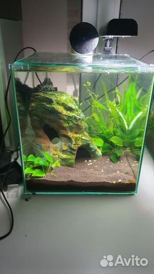 Аквариум готовый