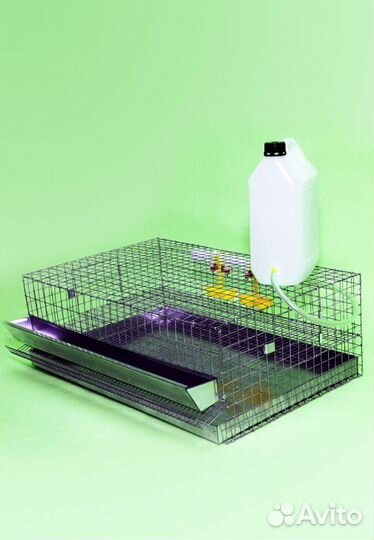 Клетки для перепелов