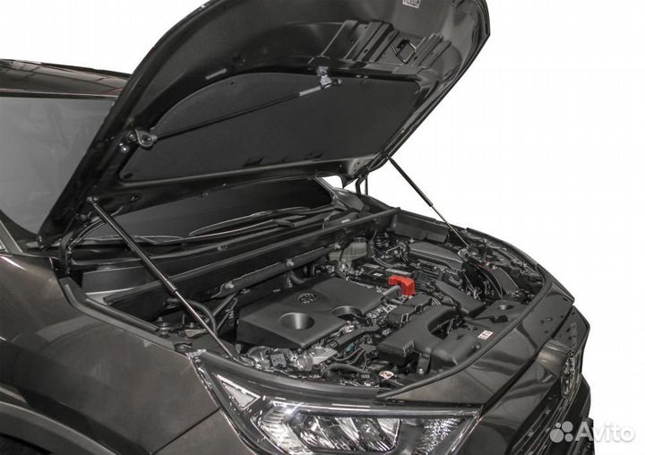 Амортизаторы для капота и багажника