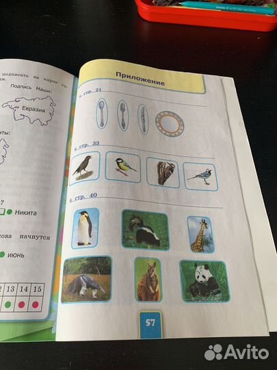 Рабочая тетрадь 2 класс по окружающему миру