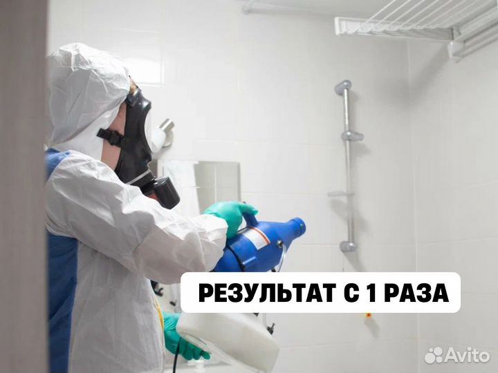 Уничтожение тараканов дезинфекция