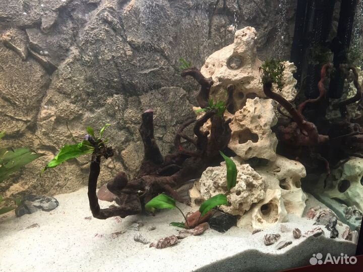 Аквариум 450 литров пластик абс вишня