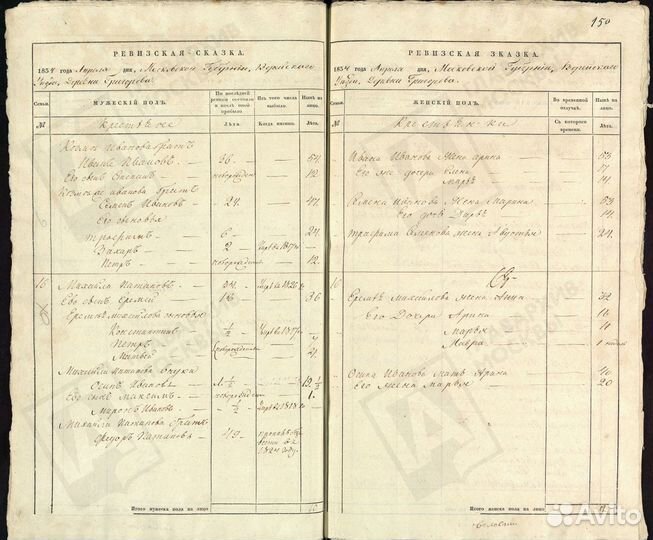 Родословная семьи (генеалог)