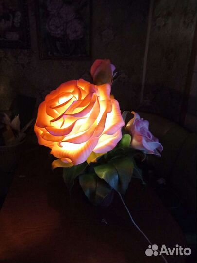 Цветок-ночник