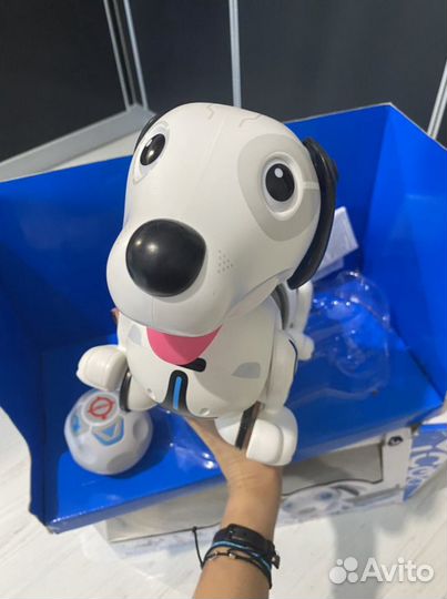 Собака робот