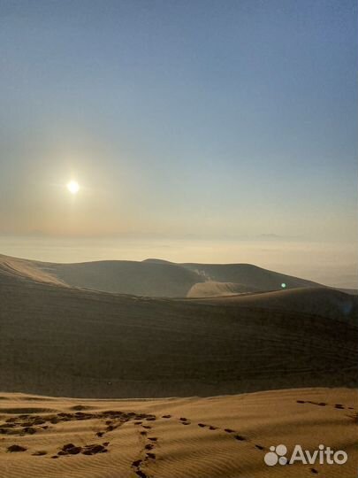 Сафари на рассвете