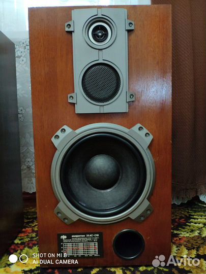 Колонки Амфитон 35ас-018