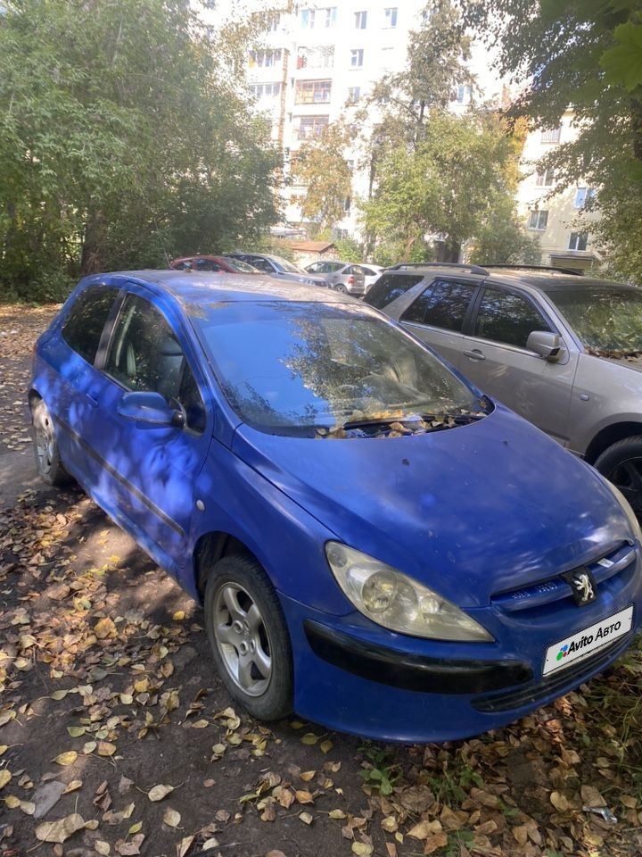 Peugeot 307: фото владельца