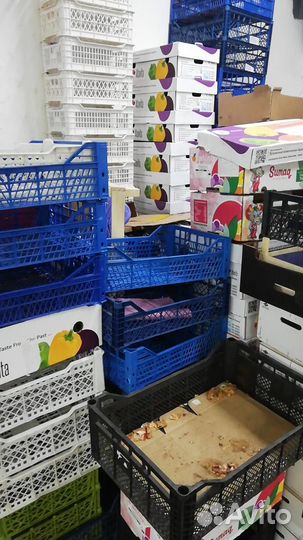 Ящики пластиковые