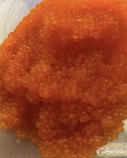 Красная икра Форель