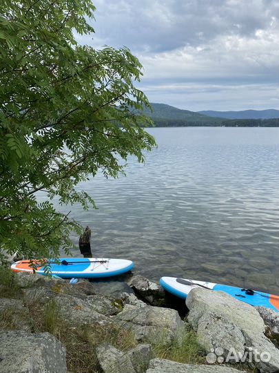Sup board аренда