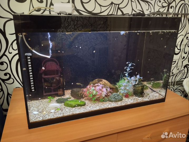 Аквариум