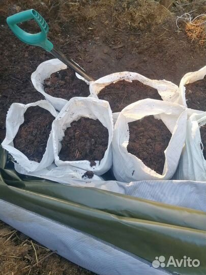 Конский навоз напрямую