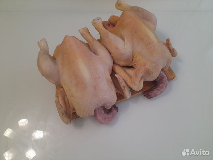 Мясо домашнего бройлера