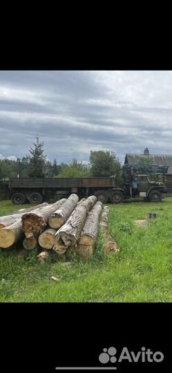 Услуги лесовоза урал
