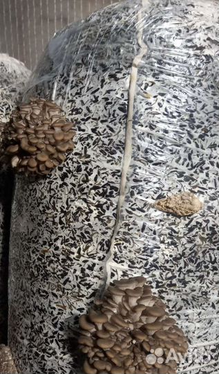 Удобрения азотные