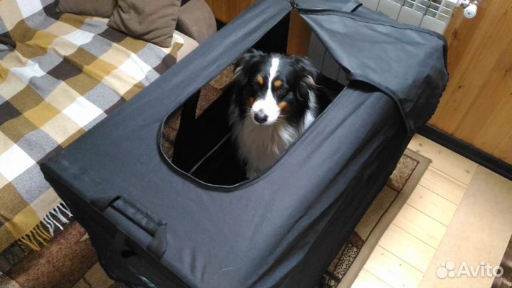 Клетку для выставки продаю