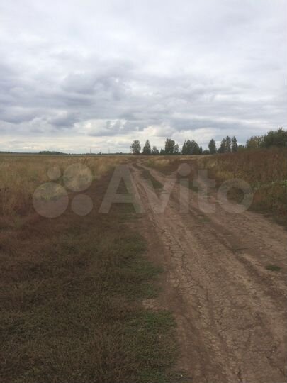 Участок 10 га (СНТ, ДНП)