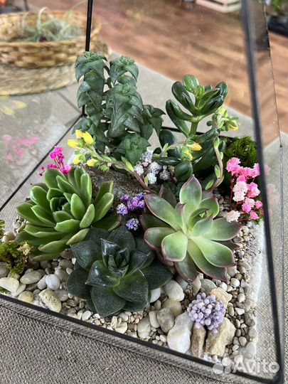 Флорариумы на заказ