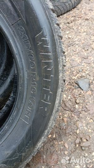 Tigar Winter 215/60 R16 99H