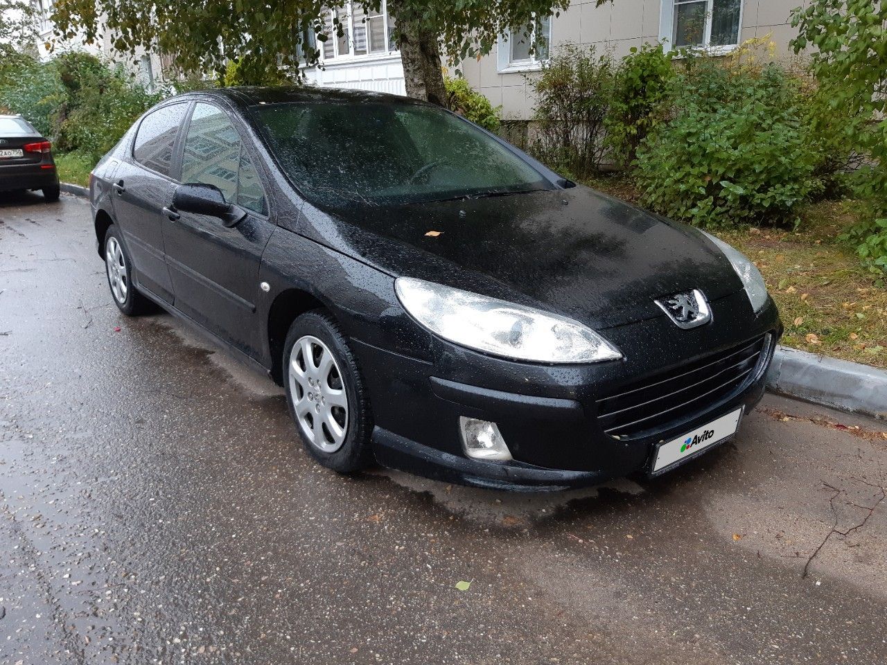 Peugeot 407: фото владельца
