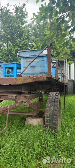 Пчелоповельен
