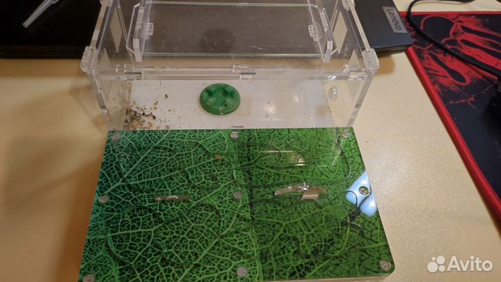 Муравьная ферма