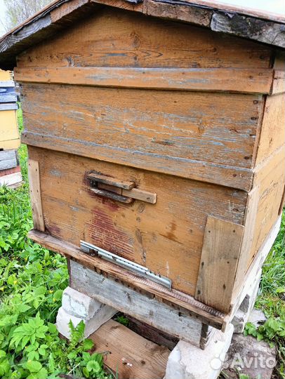 Улей с пчелами