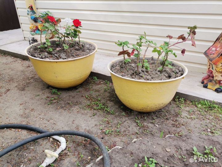 Казан чугунный