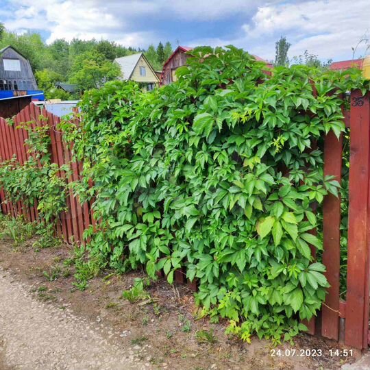 Дом 47 м² на участке 5 сот.