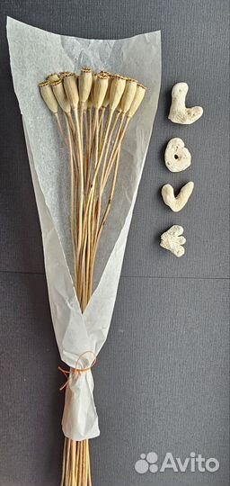 Букет из сухоцветов