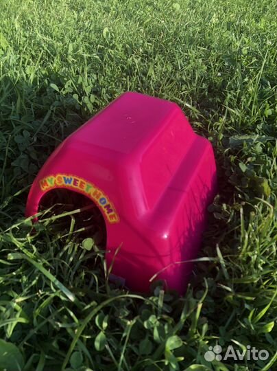 Домик для морской свинки