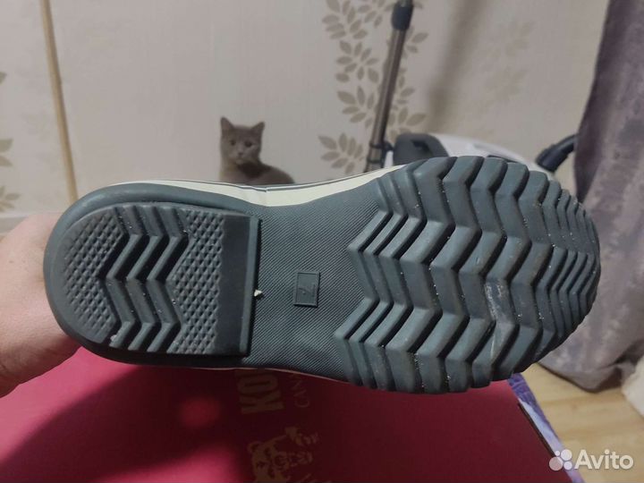 Сапоги женские