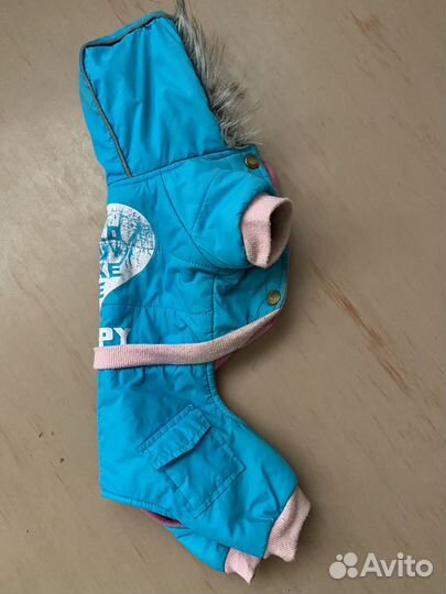 Одежда для собак