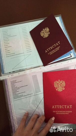 Репетитор по русскому языку и литературе. огэ, егэ