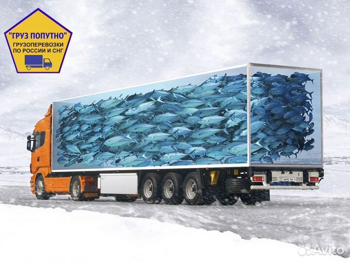 Грузоперевозки рефрижератор 5-10-20 т газель-фура