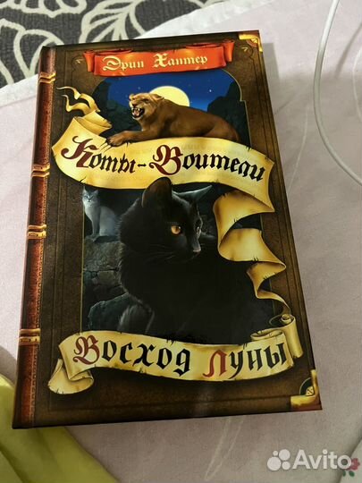 Книги коты воители