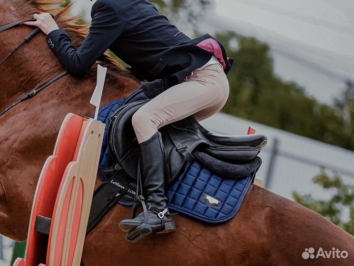 Бриджи для конного спорта