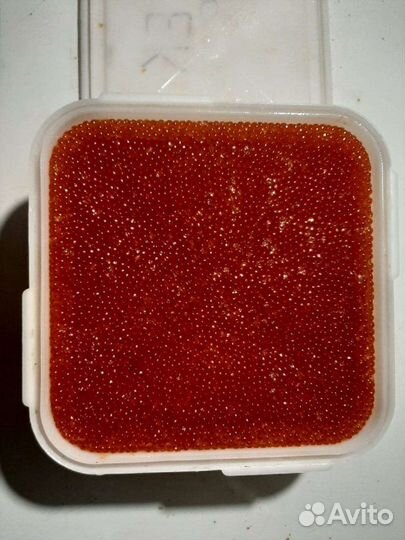 Обалденная, сухая и малосольная икра Кета Горбуша